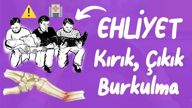 2026 Ehliyet Sınavı: Kırık, Çıkık ve Burkulmalarda İlk Yardım