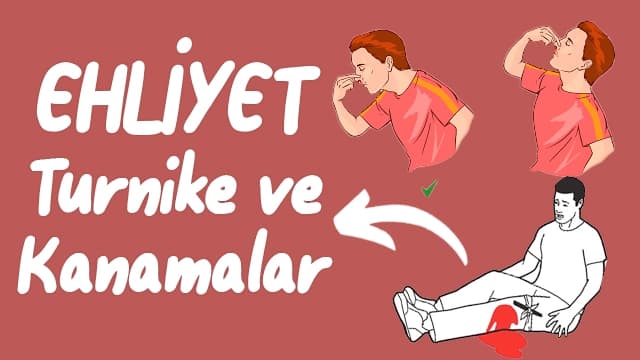 Ehliyet İlk Yardım: Atardamar, Toplardamar ve Kılcal Damar Kanamaları ve Turnike 2025 Güncel Konu